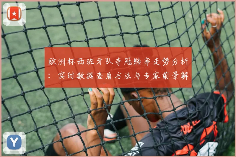 欧洲杯西班牙队夺冠赔率走势分析:实时数据查看方法与专家前景解读