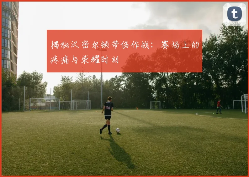 揭秘汉密尔顿带伤作战：赛场上的疼痛与荣耀时刻